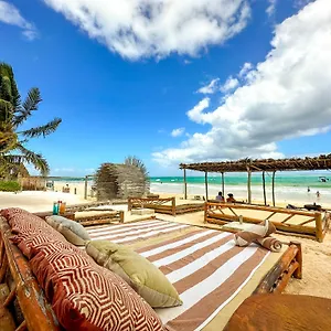 https://la-diosa-tulum-resort-spa.quintano-roohotels.com